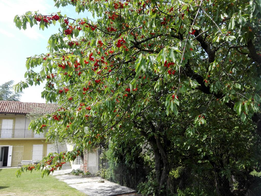 Casa Badinot Guest House Diano d'Alba Ngoại thất bức ảnh